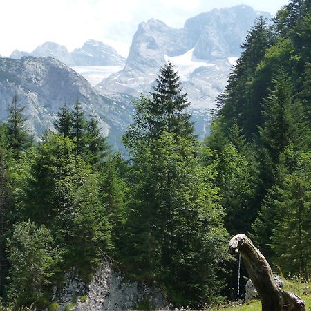 Ferienwohnung Inge Gapp Gosau Buitenkant foto