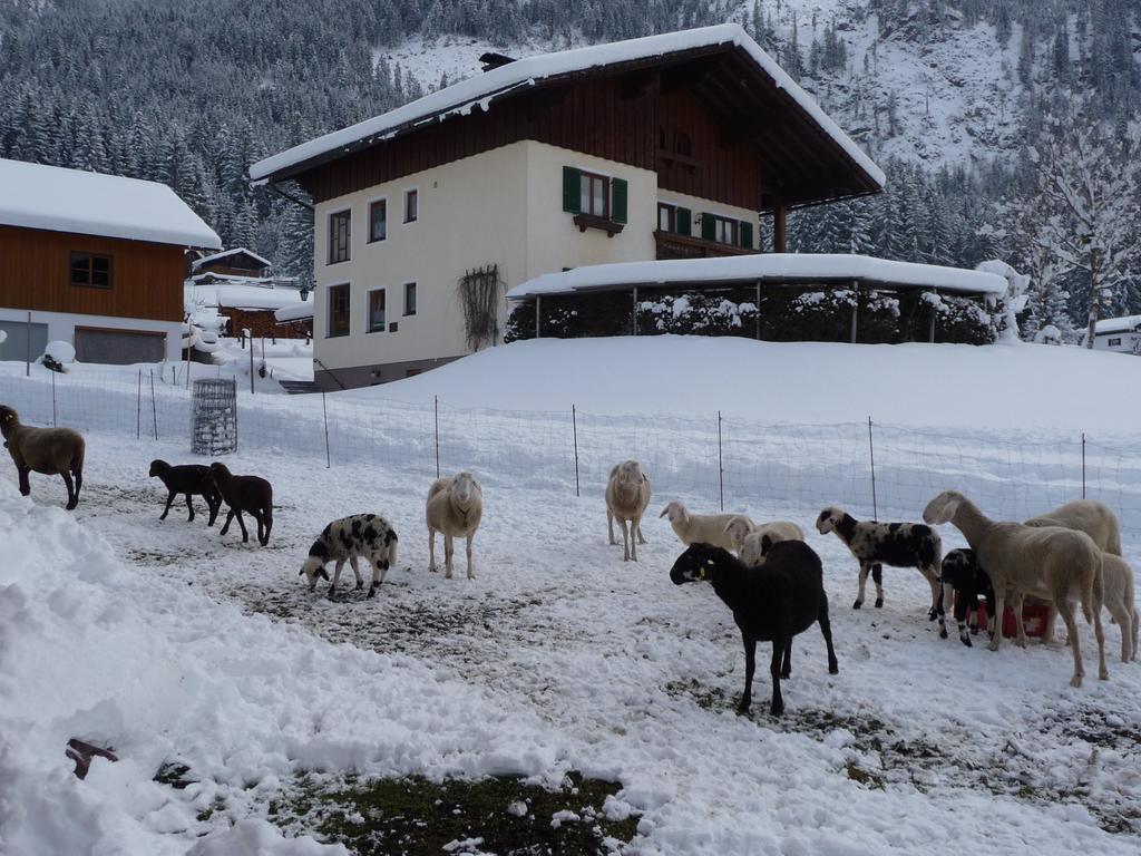 Ferienwohnung Inge Gapp Gosau Buitenkant foto