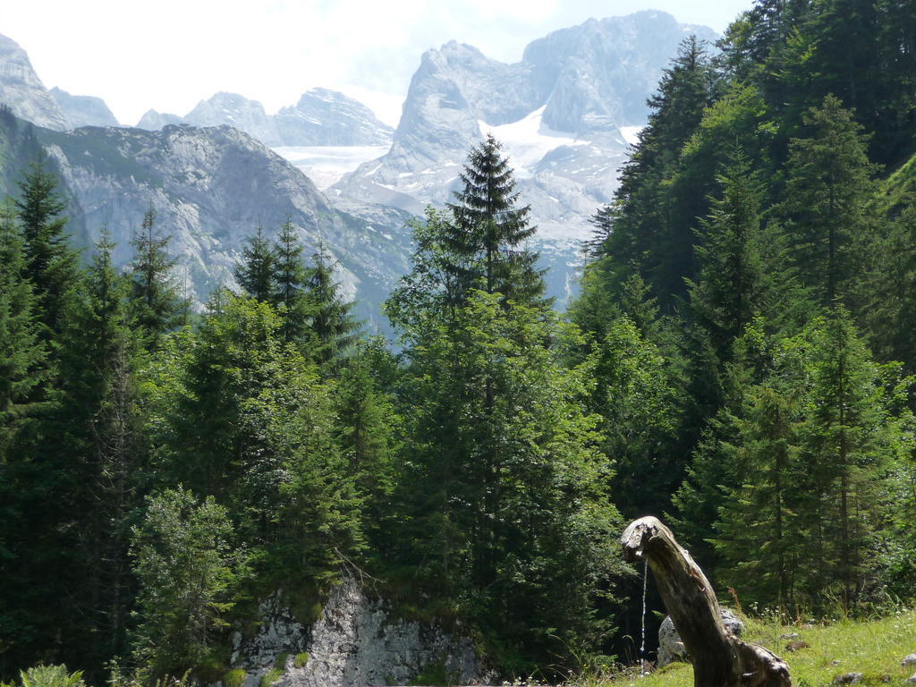 Ferienwohnung Inge Gapp Gosau Buitenkant foto
